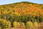 USA, New Hampshire. Mount Washington, Bretton Woods Resort, fall foliage at foot of Mt. Washington. Art Print